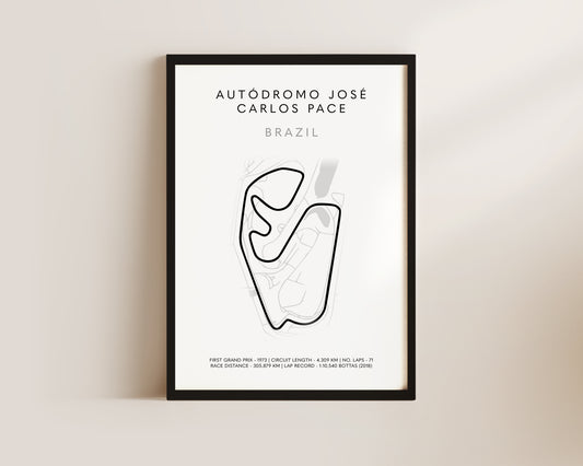 F1 Brazilian Grand Prix Art Wall Art Print