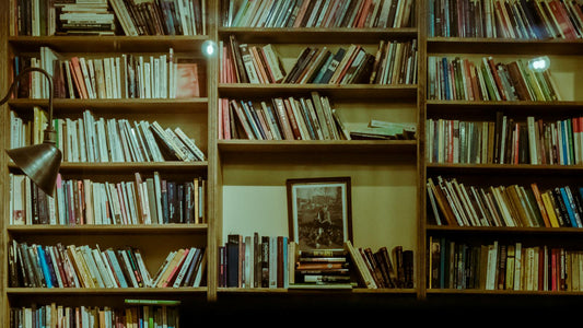 The Reader's Apartment: A Home Built Around Books