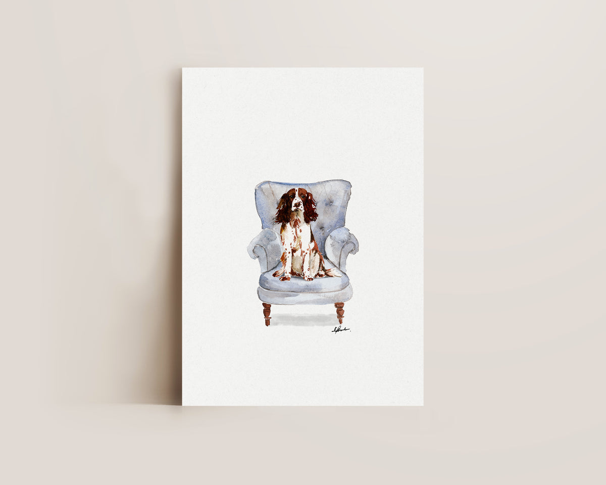Springer Spaniel in Chair Print