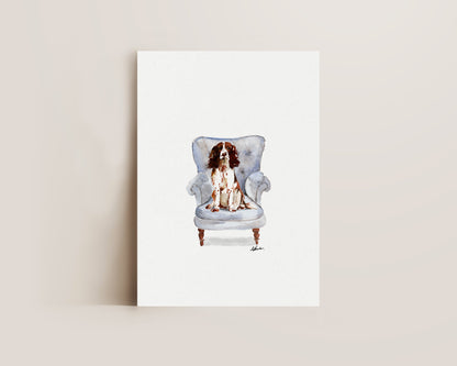 Springer Spaniel in Chair Print