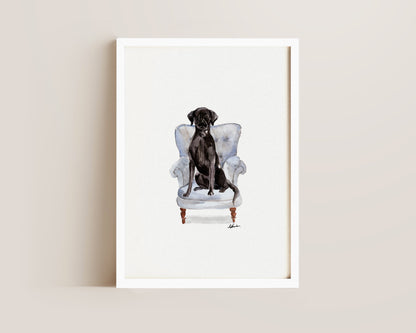 Black Labrador in Chair Print