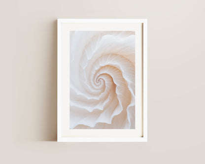 Botanic Spiral No. 2 Print