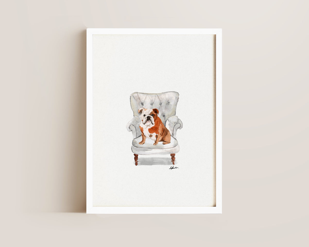 English Bulldog in Chair Print