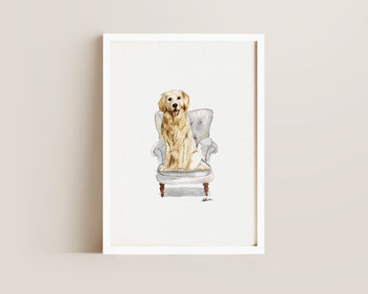 Golden Retriever in Chair Print
