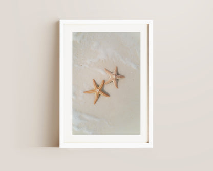 Starfish Print