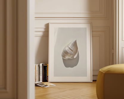 Silver Shell Print