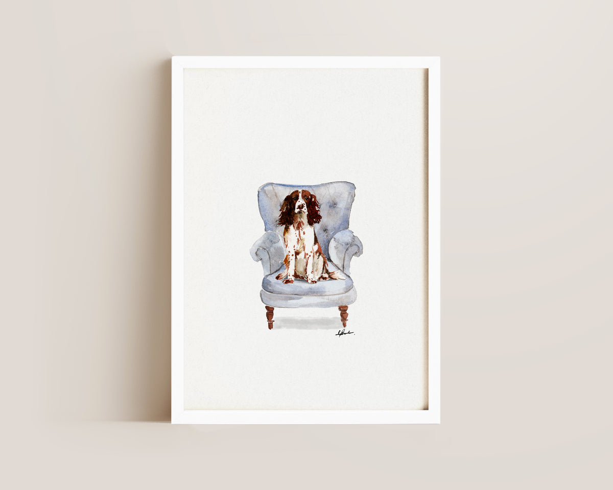 Springer Spaniel in Chair Print