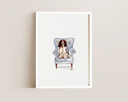 Springer Spaniel in Chair Print