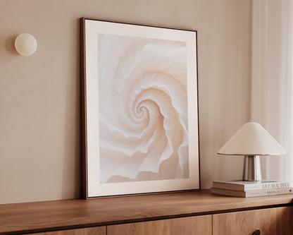 Botanical Spiral No. 2 Canvas
