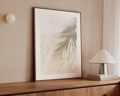 Palm Tree Shadows Canvas