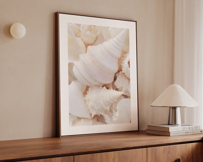 Seashells Canvas