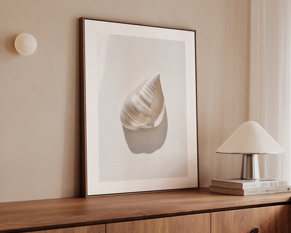 Silver Shell Canvas