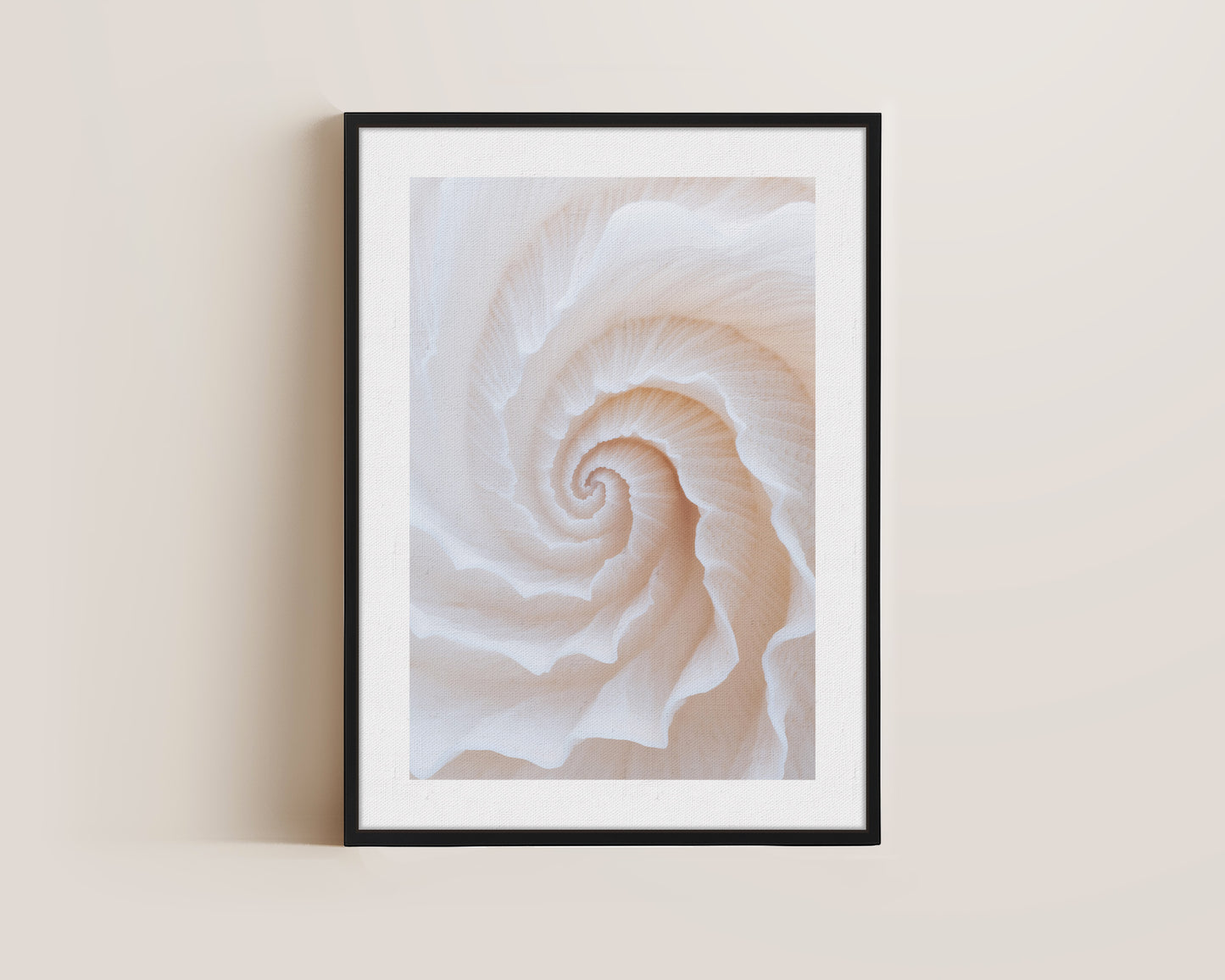 Botanical Spiral No. 2 Canvas