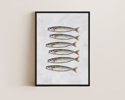 Mackerel Canvas