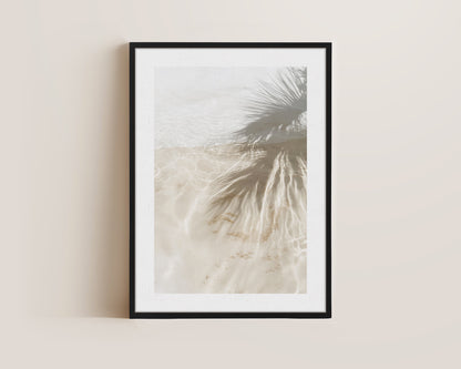 Palm Tree Shadows Canvas