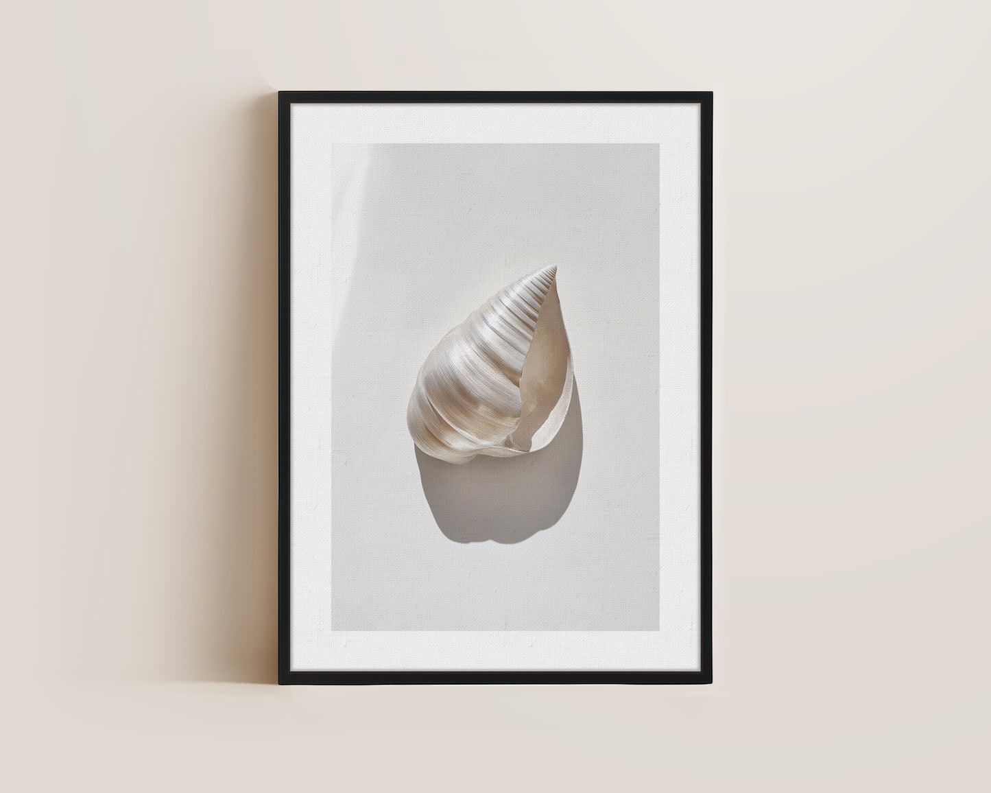 Silver Shell Canvas
