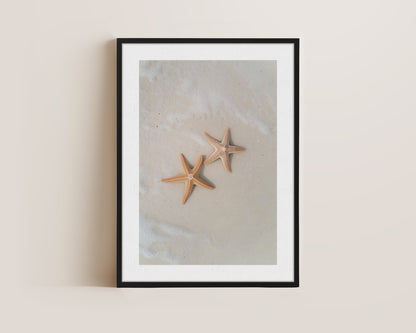 Starfish Canvas