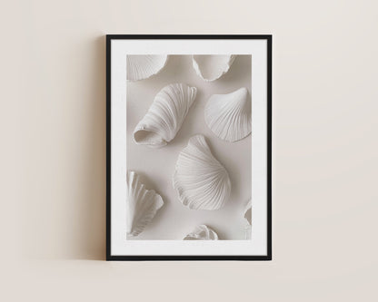 White Shells Canvas