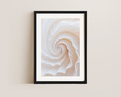 Botanic Spiral No. 2 Print