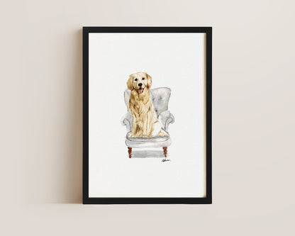 Golden Retriever in Chair Print