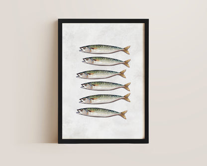 Mackerel Print