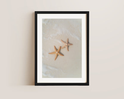 Starfish Print