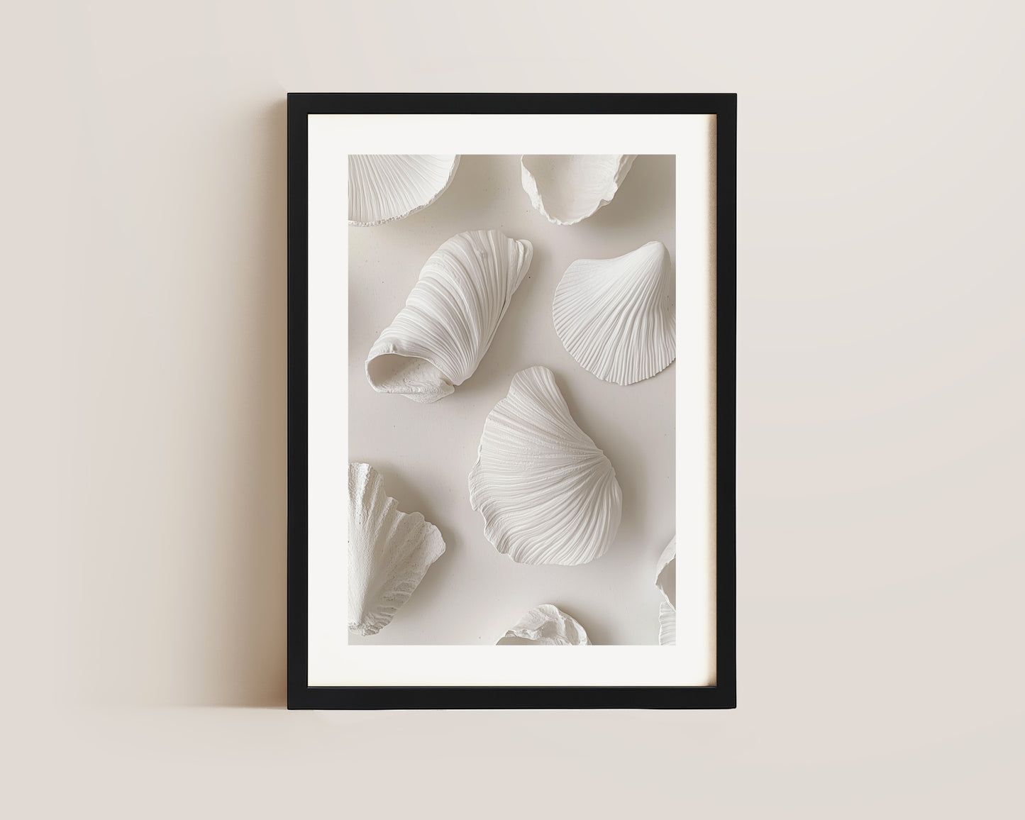White Shells Print