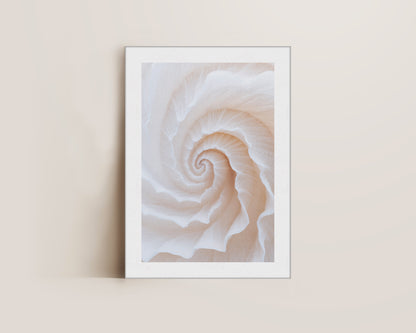 Botanical Spiral No. 2 Canvas
