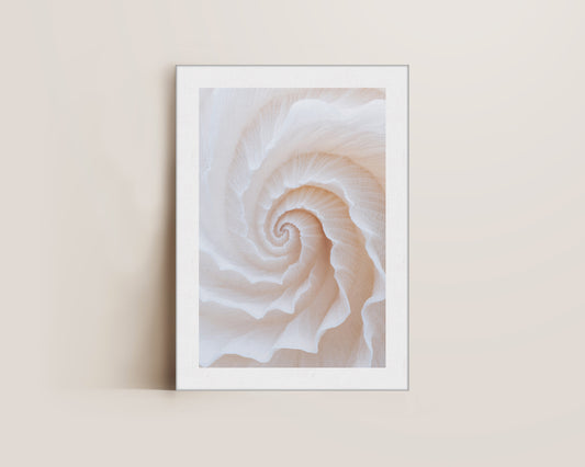 Botanical Spiral No. 2 Canvas
