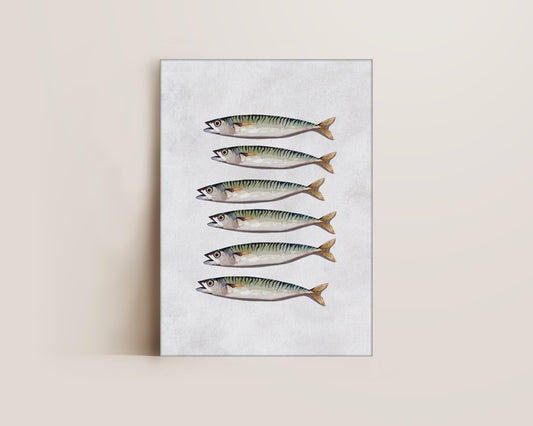 Mackerel Canvas
