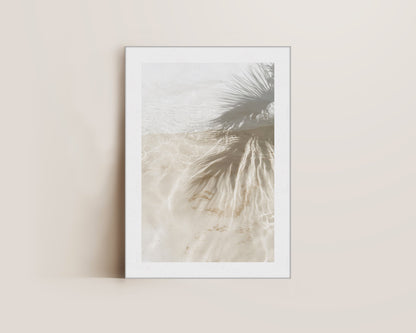 Palm Tree Shadows Canvas