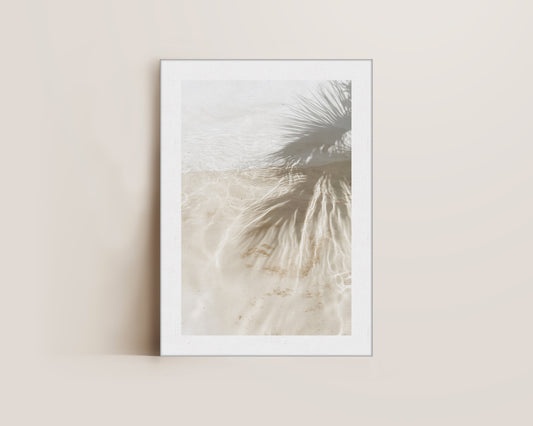 Palm Tree Shadows Canvas
