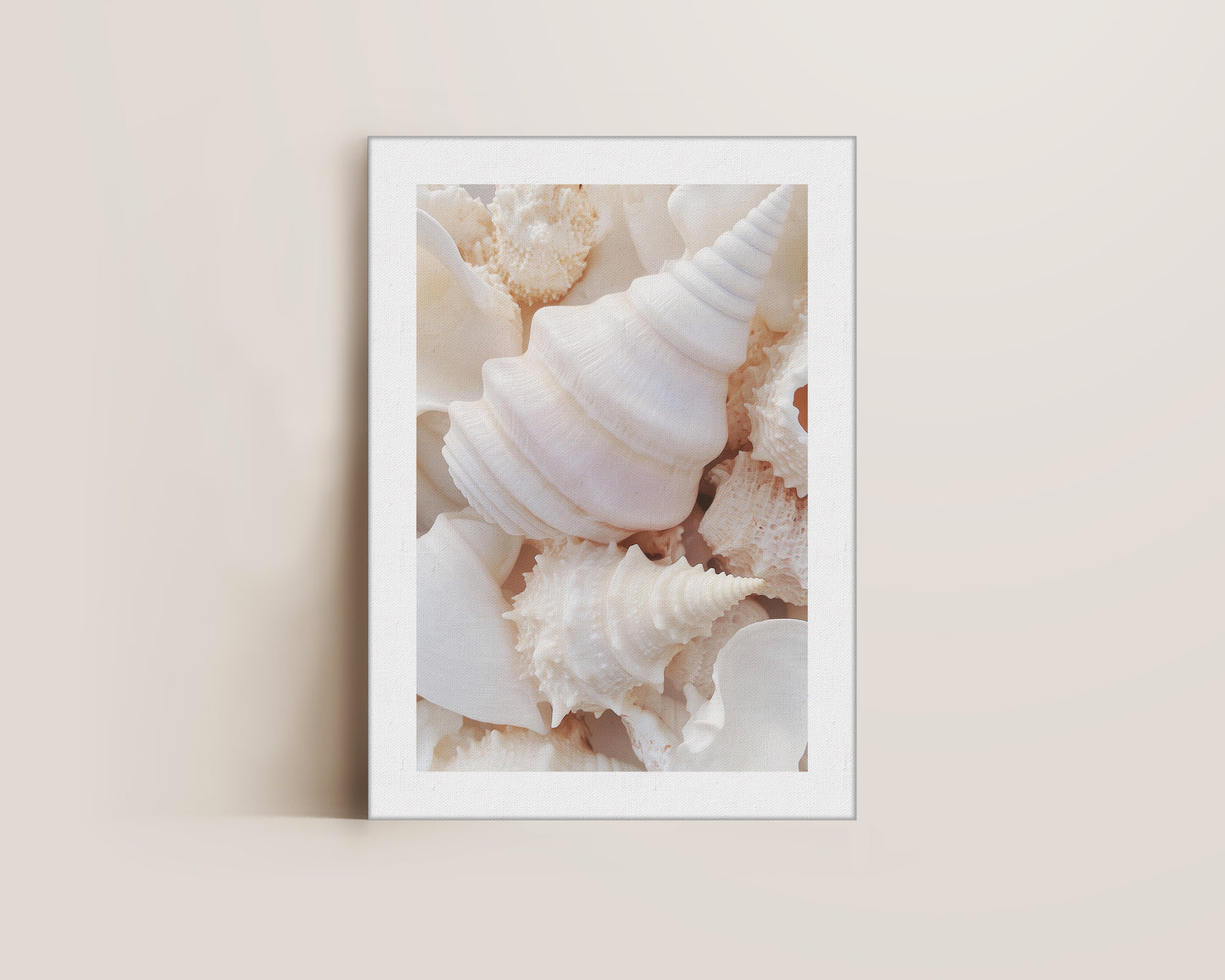 Seashells Canvas