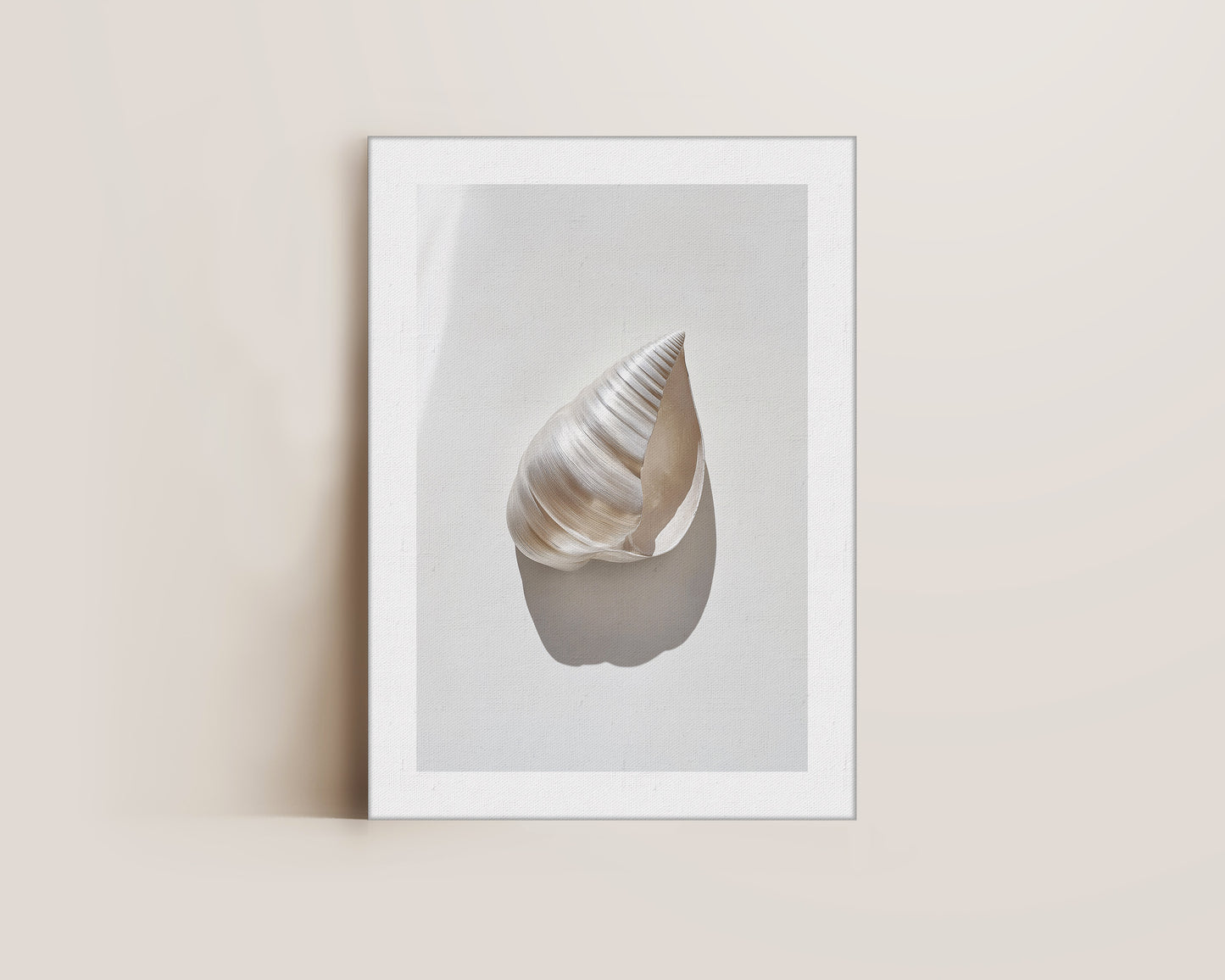 Silver Shell Canvas