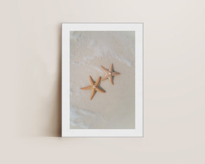 Starfish Canvas