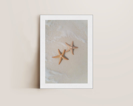 Starfish Canvas