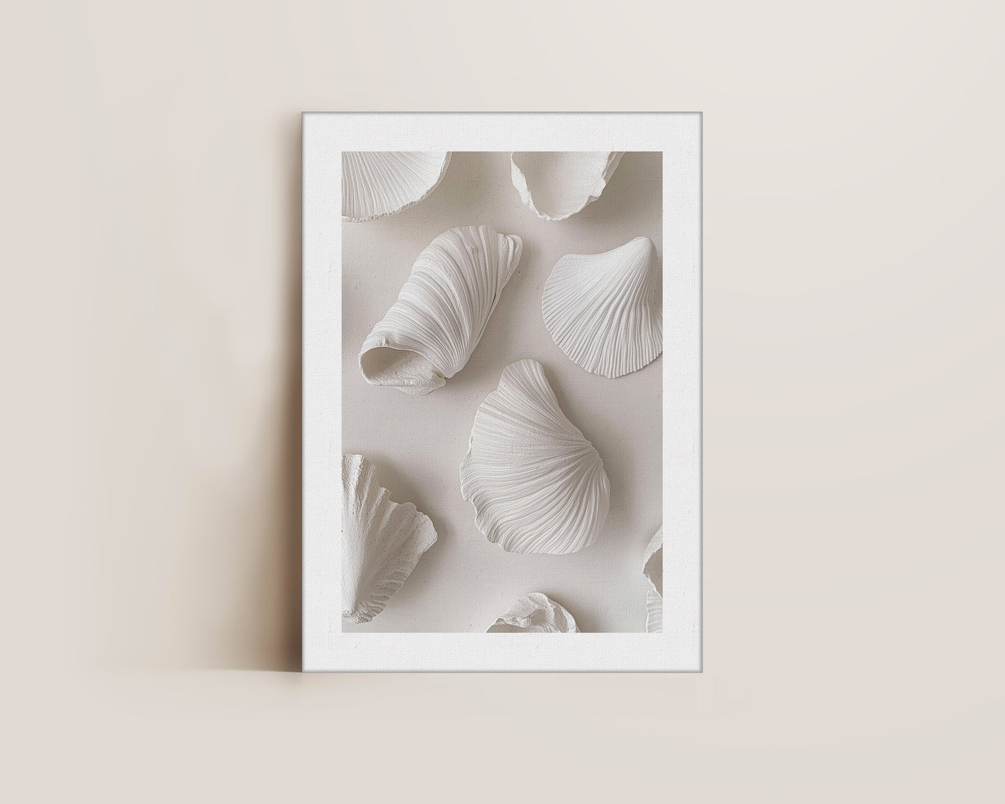 White Shells Canvas