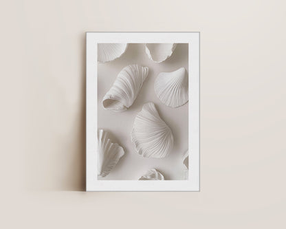 White Shells Canvas