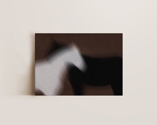 Year Of The Horse Canvas