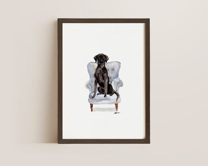 Black Labrador in Chair Print