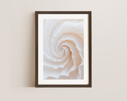 Botanic Spiral No. 2 Print