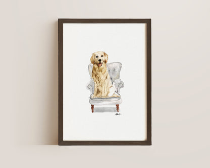 Golden Retriever in Chair Print