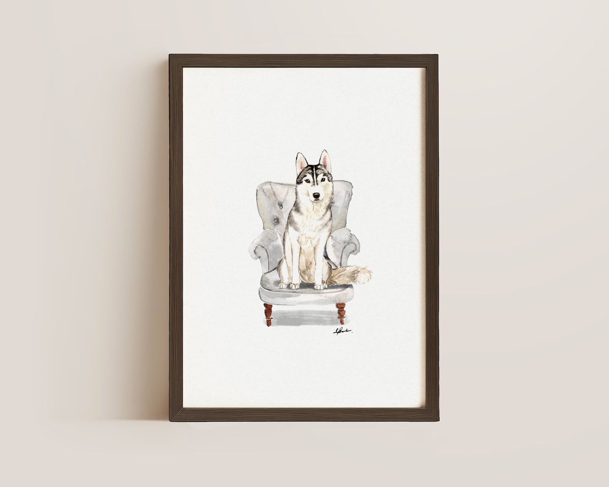 Husky in Chair Print