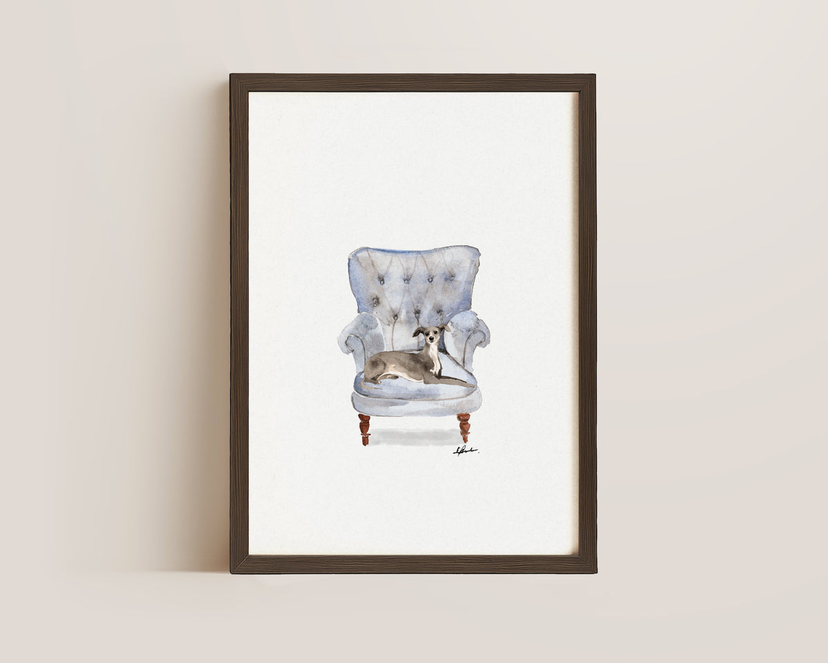 Italian Greyhound in Chair Print