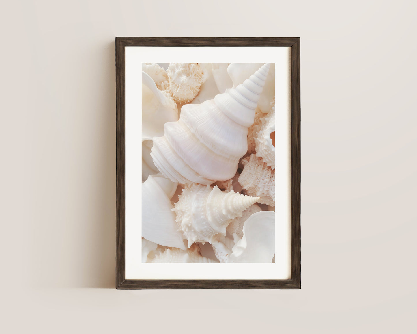 Seashells Print