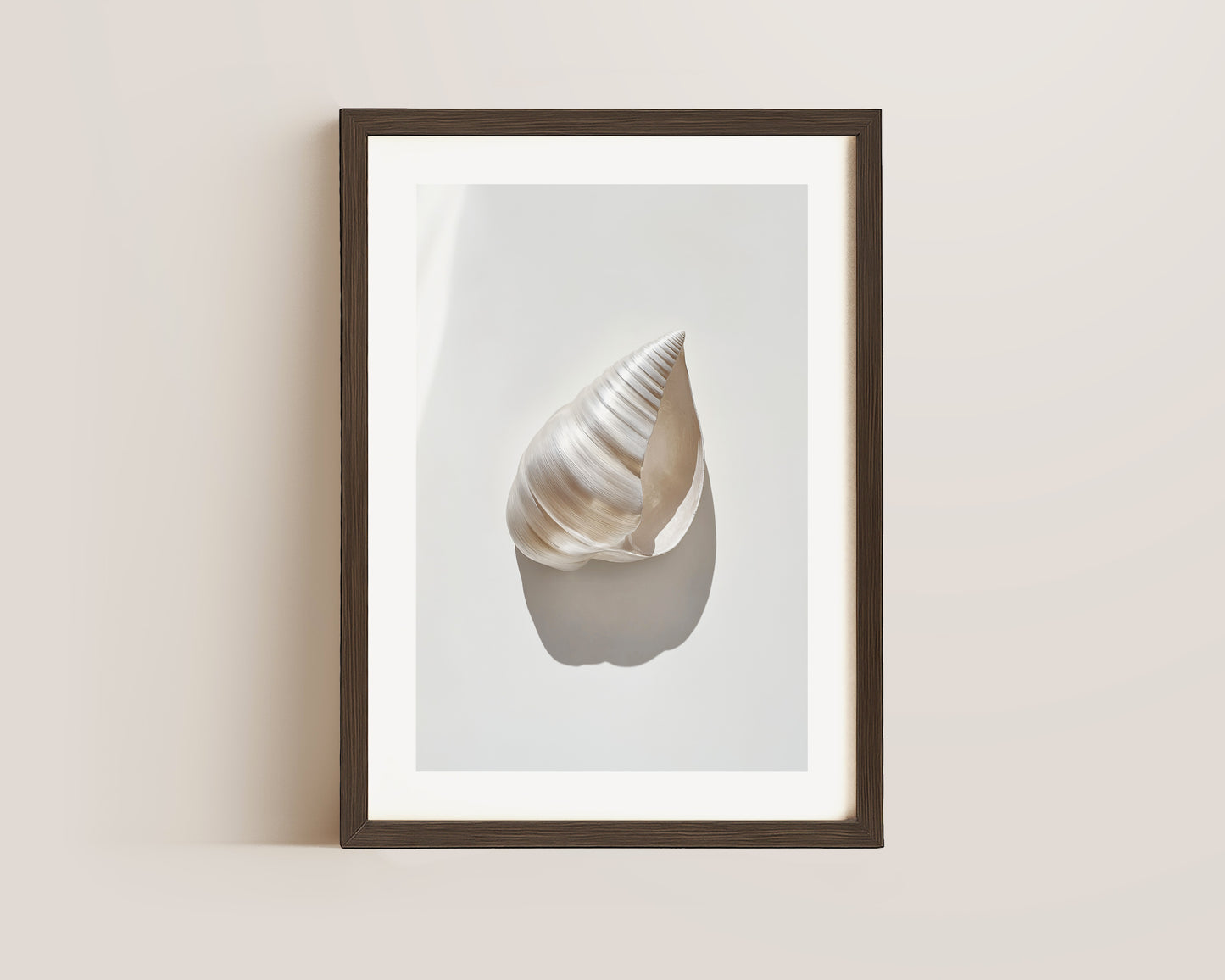Silver Shell Print