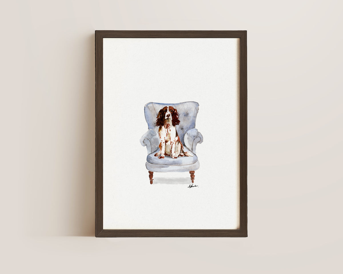 Springer Spaniel in Chair Print