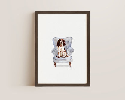 Springer Spaniel in Chair Print