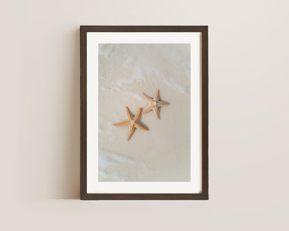 Starfish Print