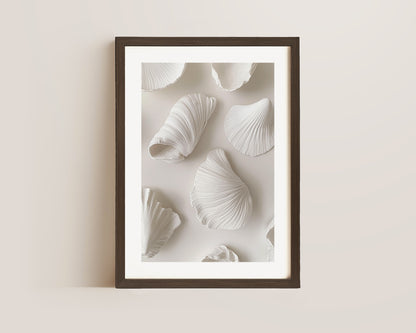White Shells Print